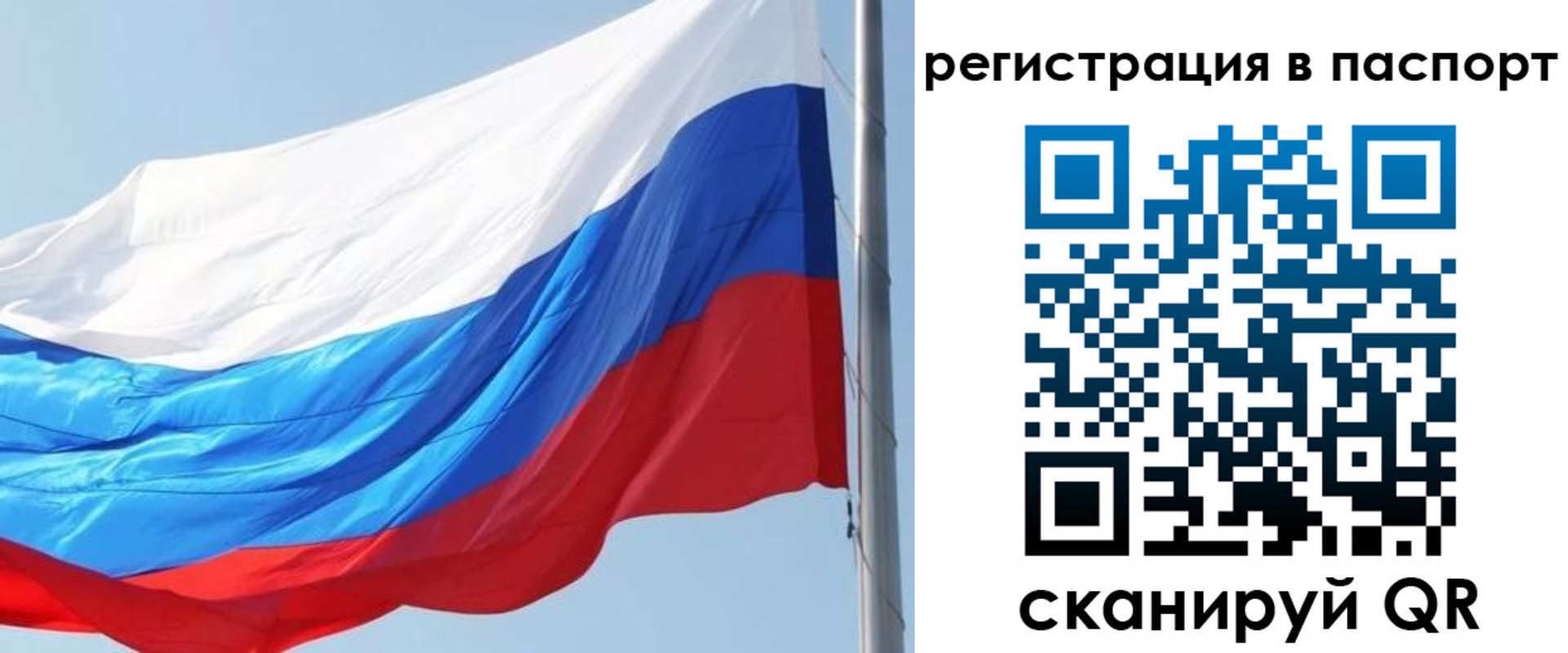 прописка законно в Жукове